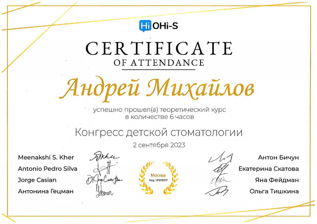 Михайлов Андрей Игоревич 2